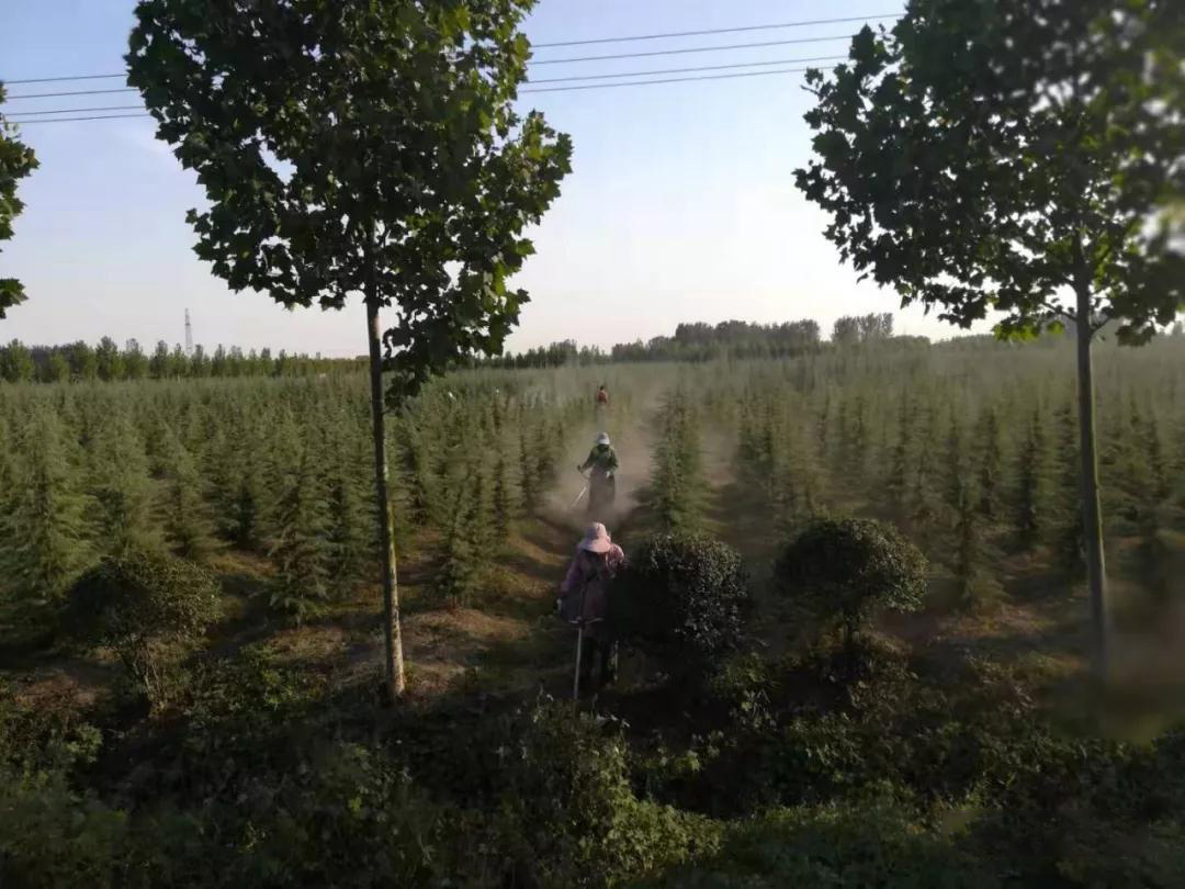 兰科博弈(RankBet)有限公司官网